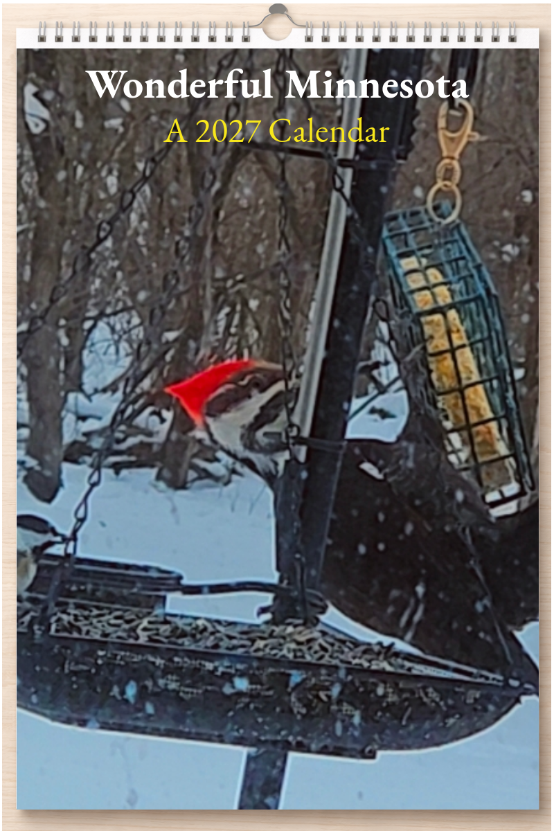 Wonderful Minnesota: A 2027 Calendar
