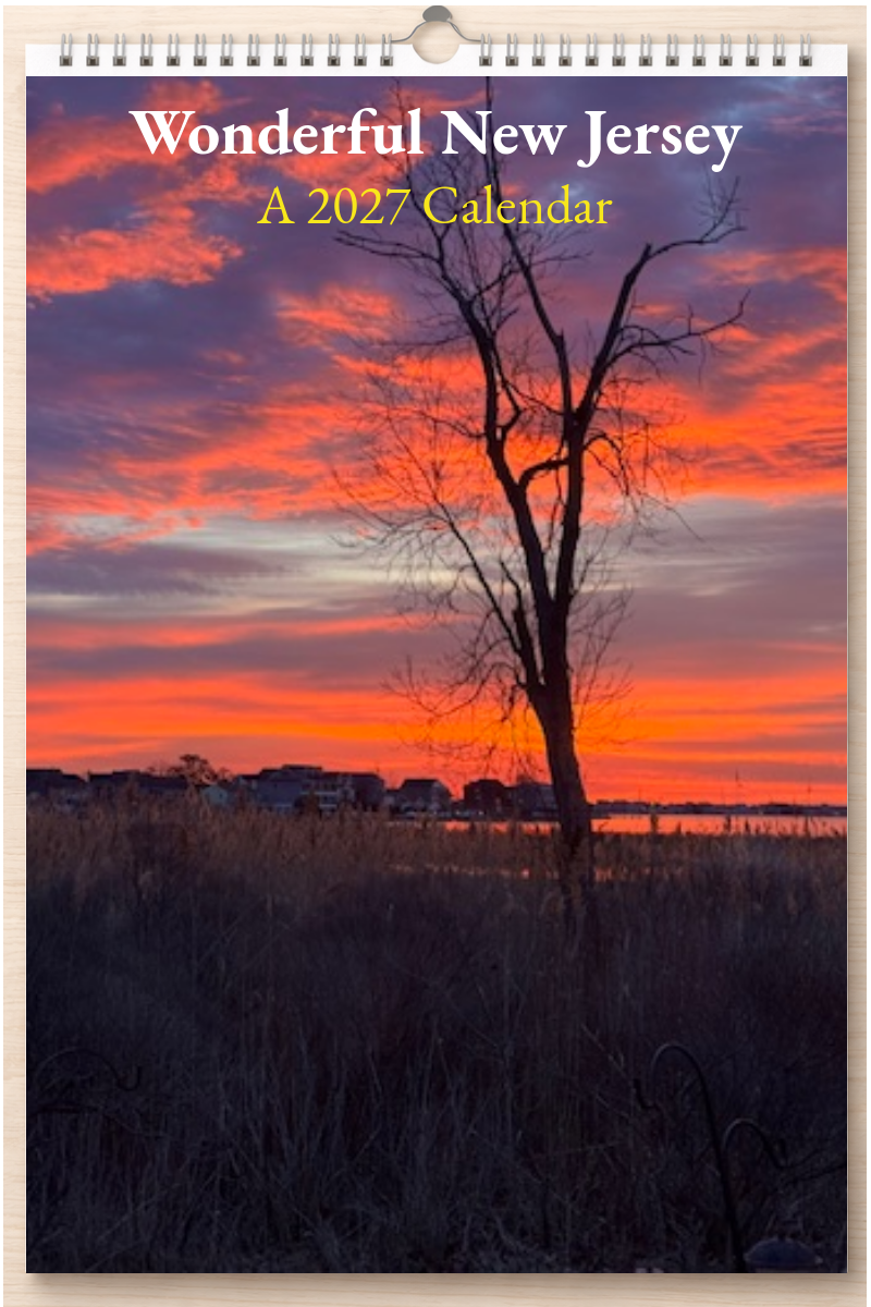 Wonderful New Jersey: A 2027 Calendar