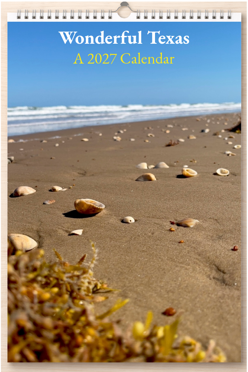 Wonderful Texas: A 2027 Calendar