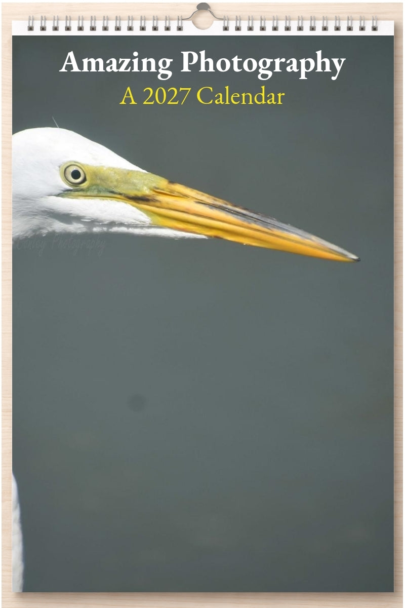 Amazing Photography: A 2027 Calendar