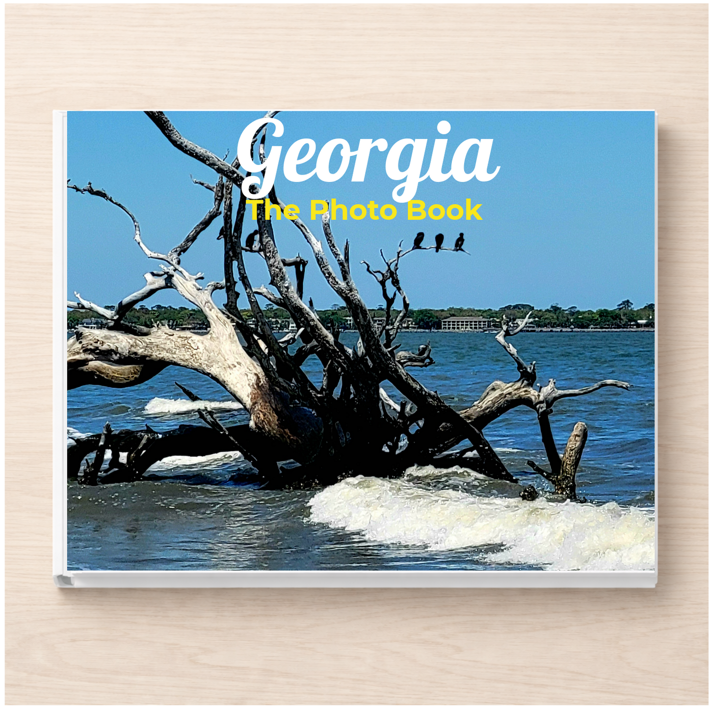 Georgia: The Photo Book