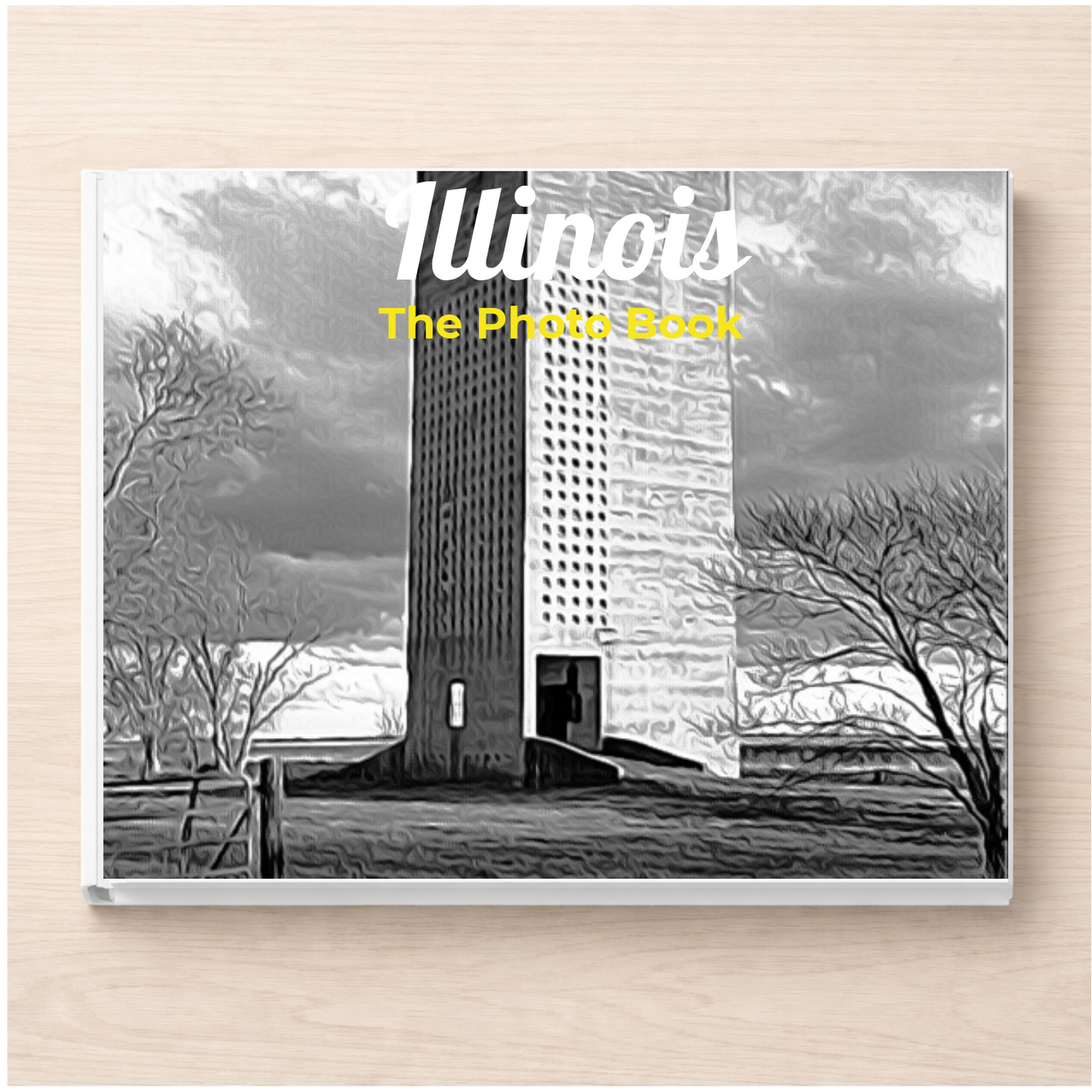 Illinois: The Photo Book
