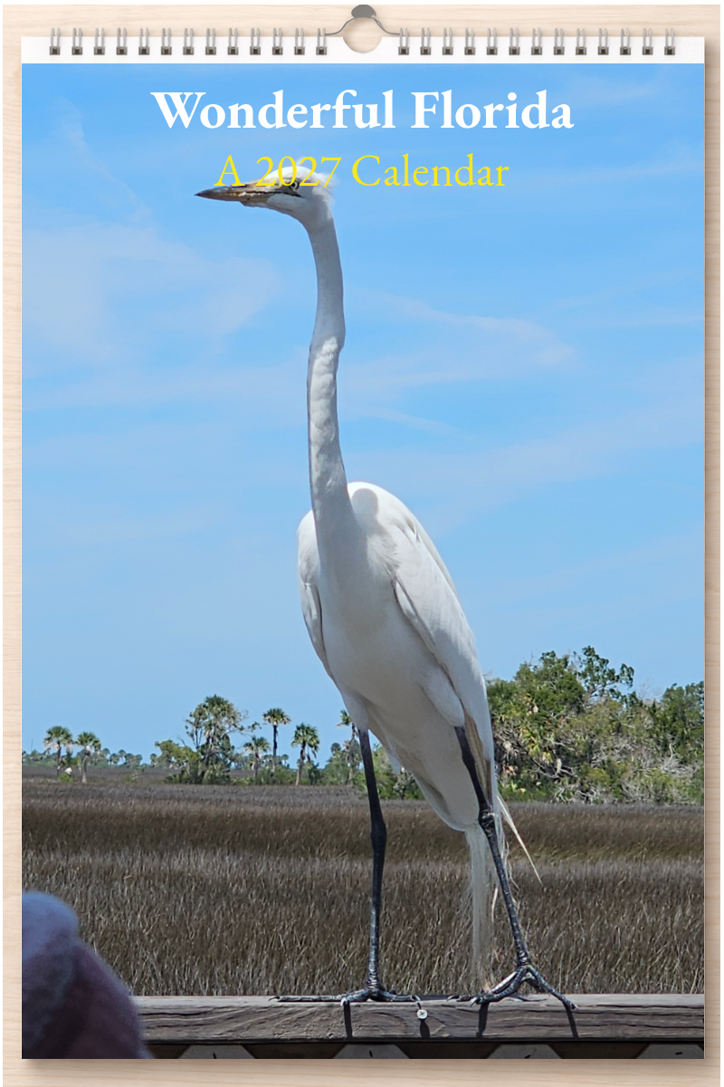 Wonderful Florida: A 2027 Calendar