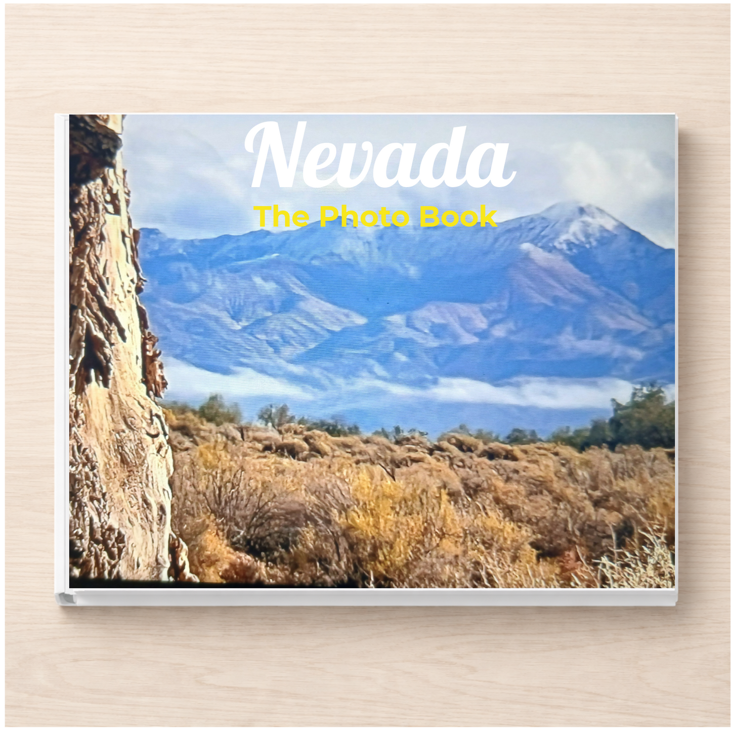 Nevada: The Photo Book