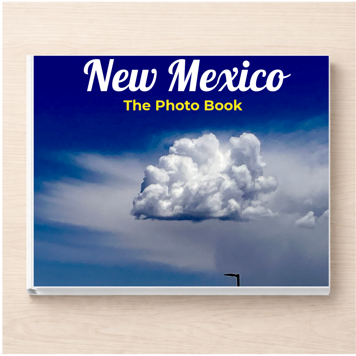 New Mexico: The Photo Book