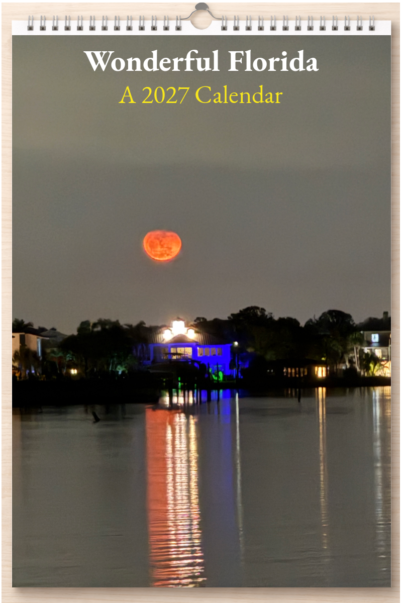 Wonderful Florida: A 2027 Calendar