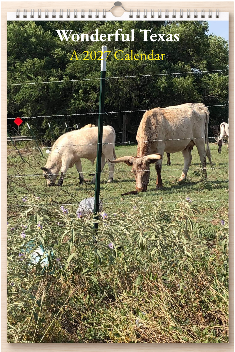 Wonderful Texas: A 2027 Calendar