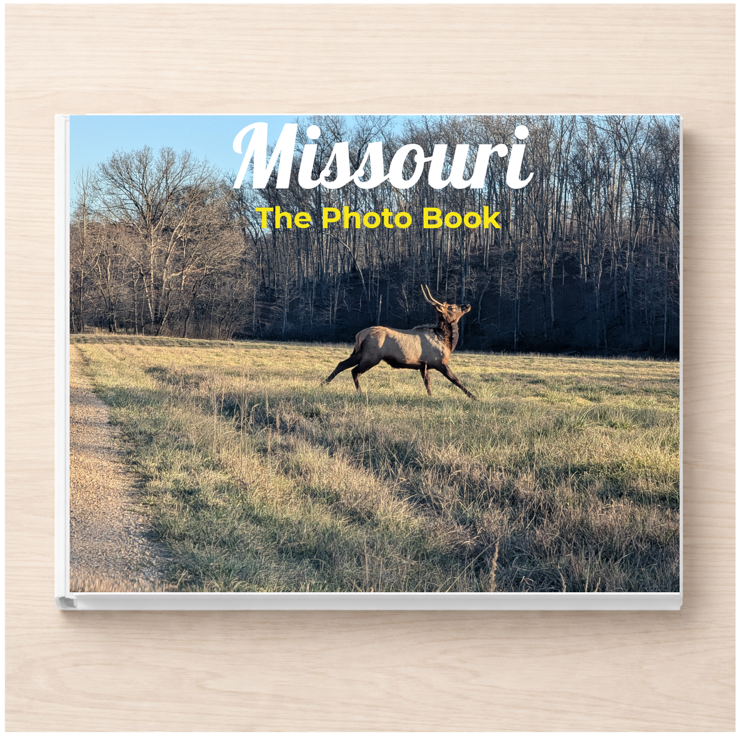 Missouri: The Photo Book