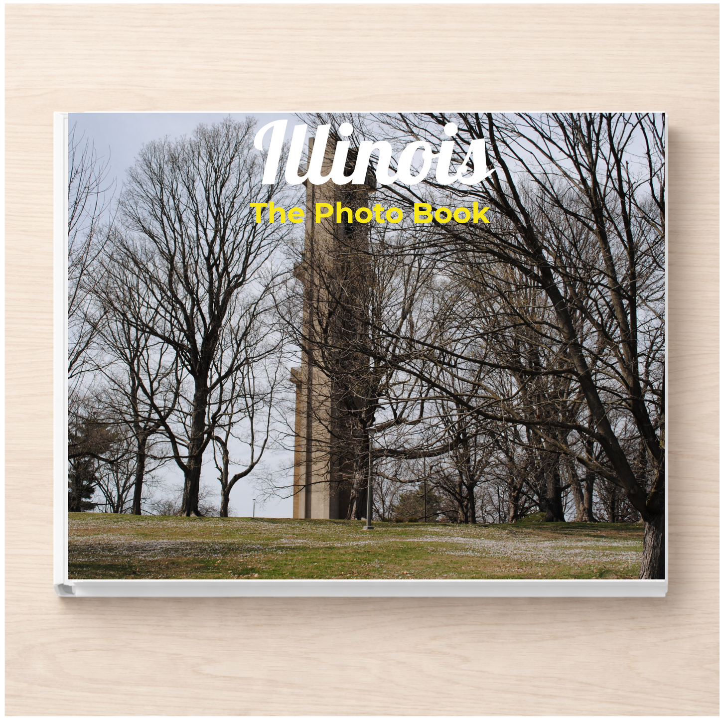Illinois: The Photo Book