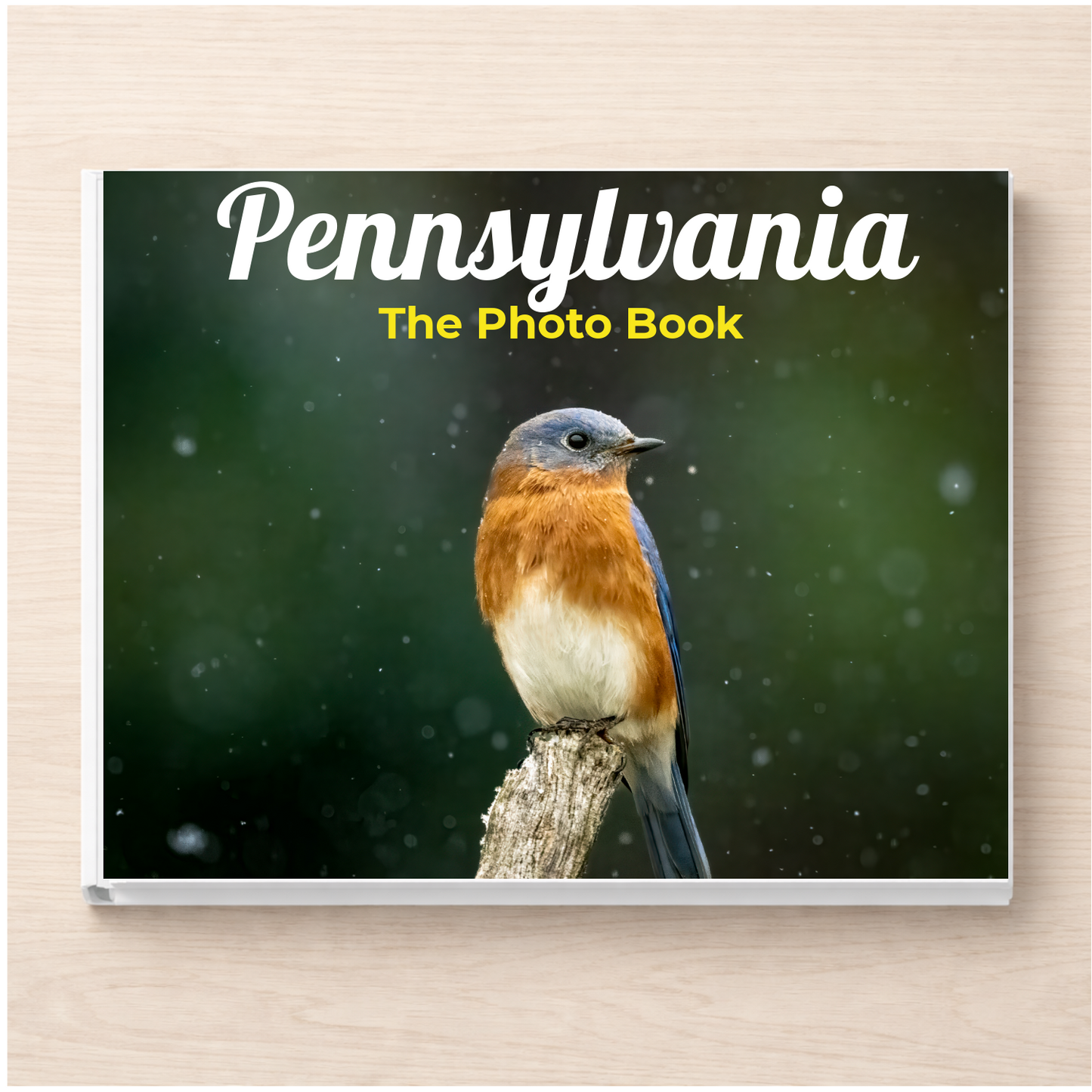 Pennsylvania: The Photo Book