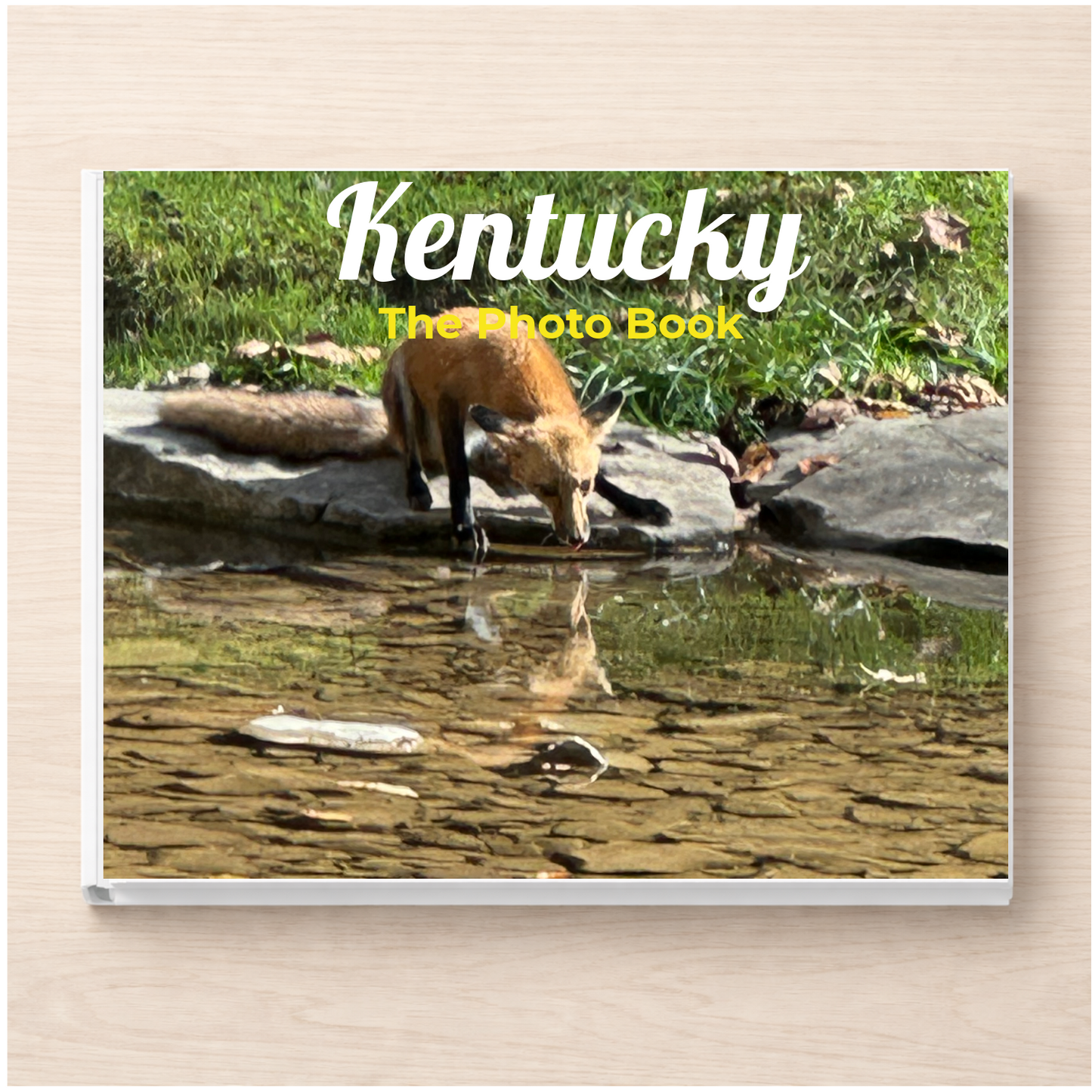 Kentucky: The Photo Book