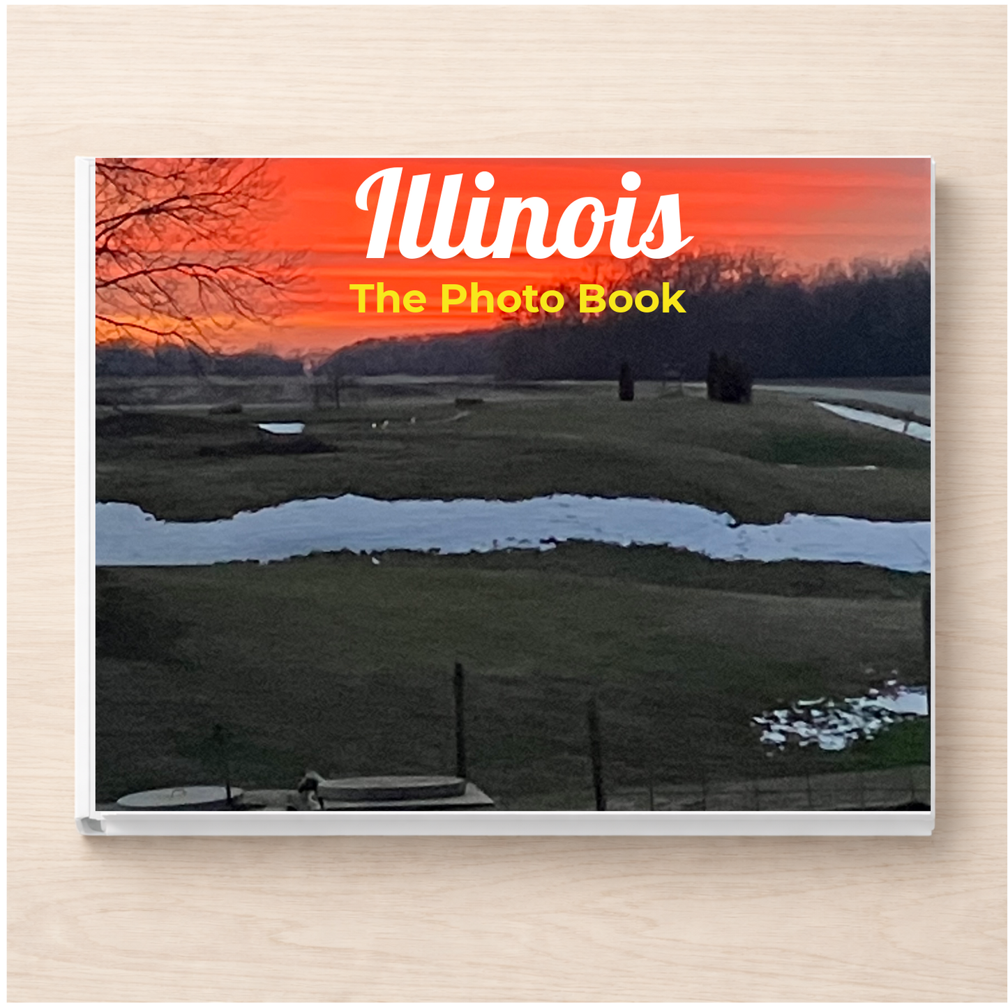Illinois: The Photo Book