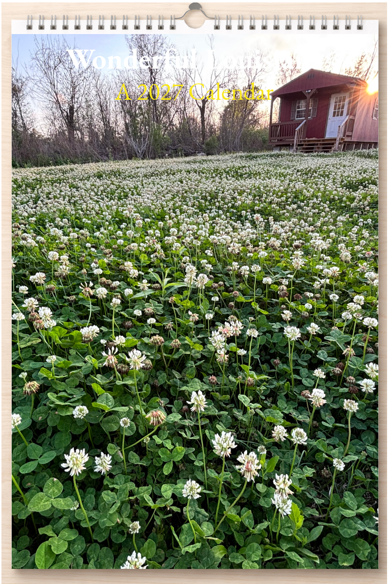 Wonderful Louisiana: A 2027 Calendar