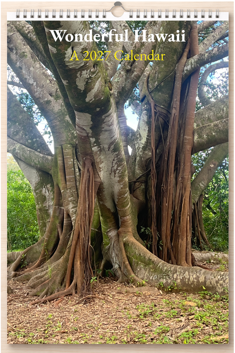 Wonderful Hawaii: A 2027 Calendar