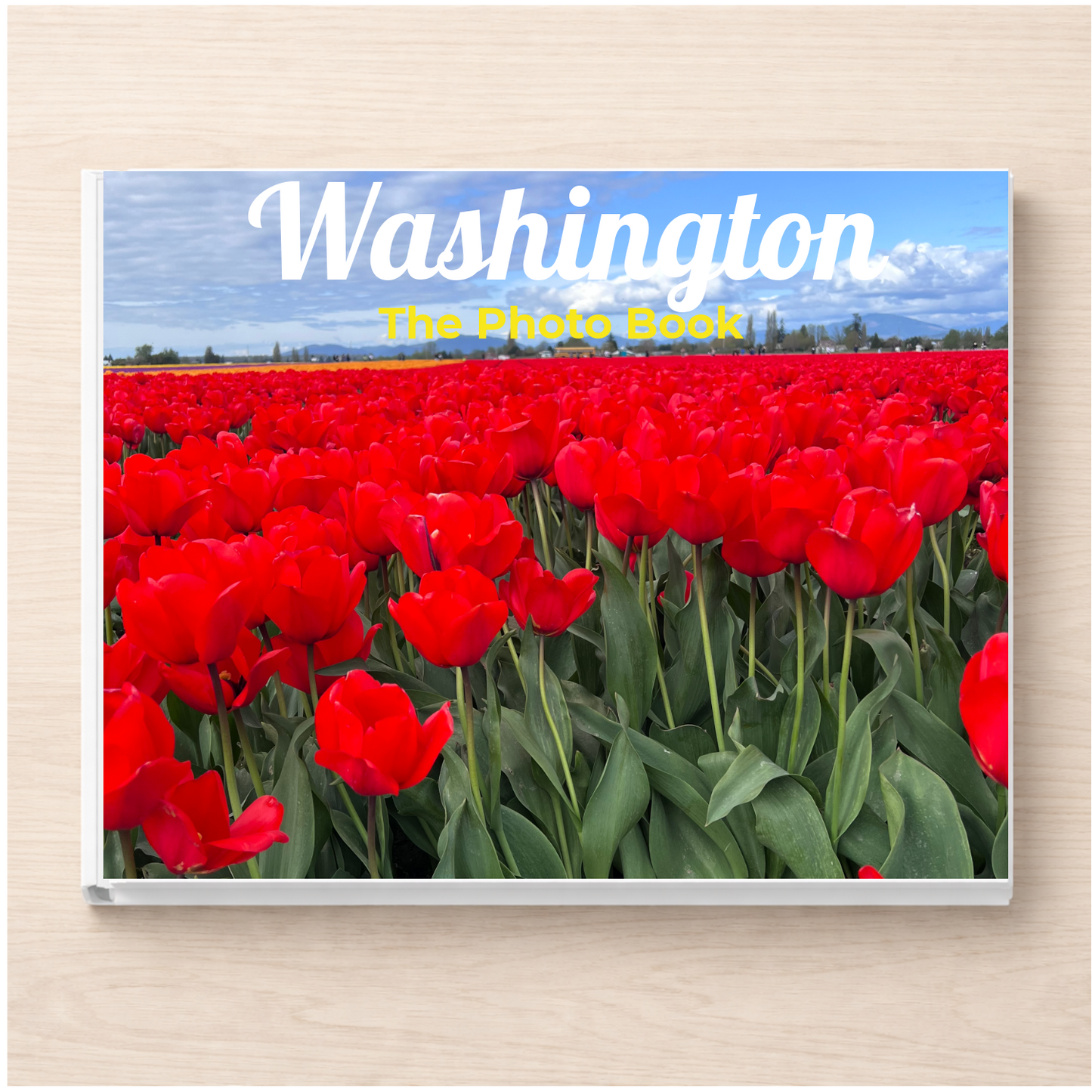 Washington: The Photo Book