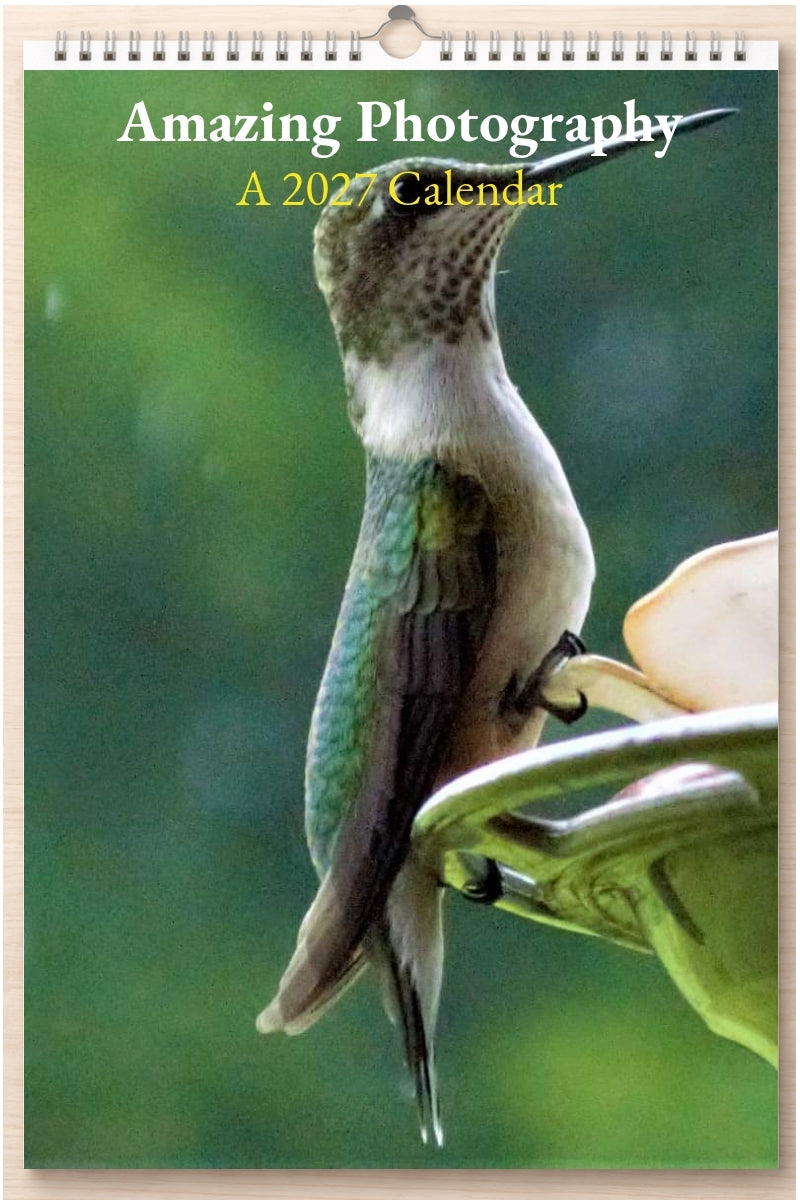 Amazing Photography: A 2027 Calendar