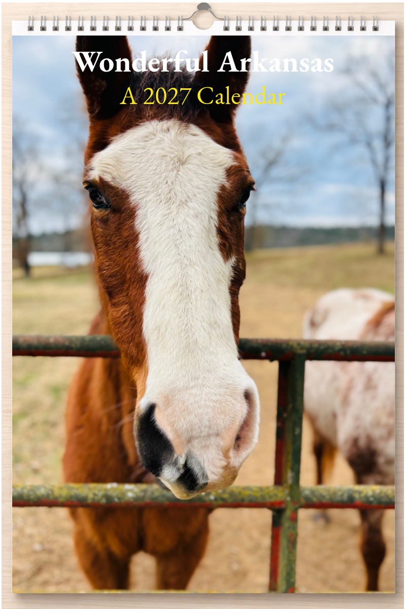 Wonderful Arkansas: A 2027 Calendar