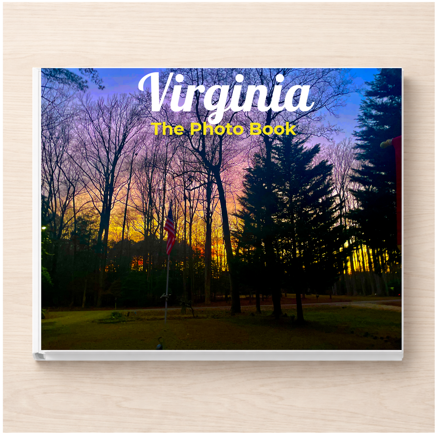 Virginia: The Photo Book