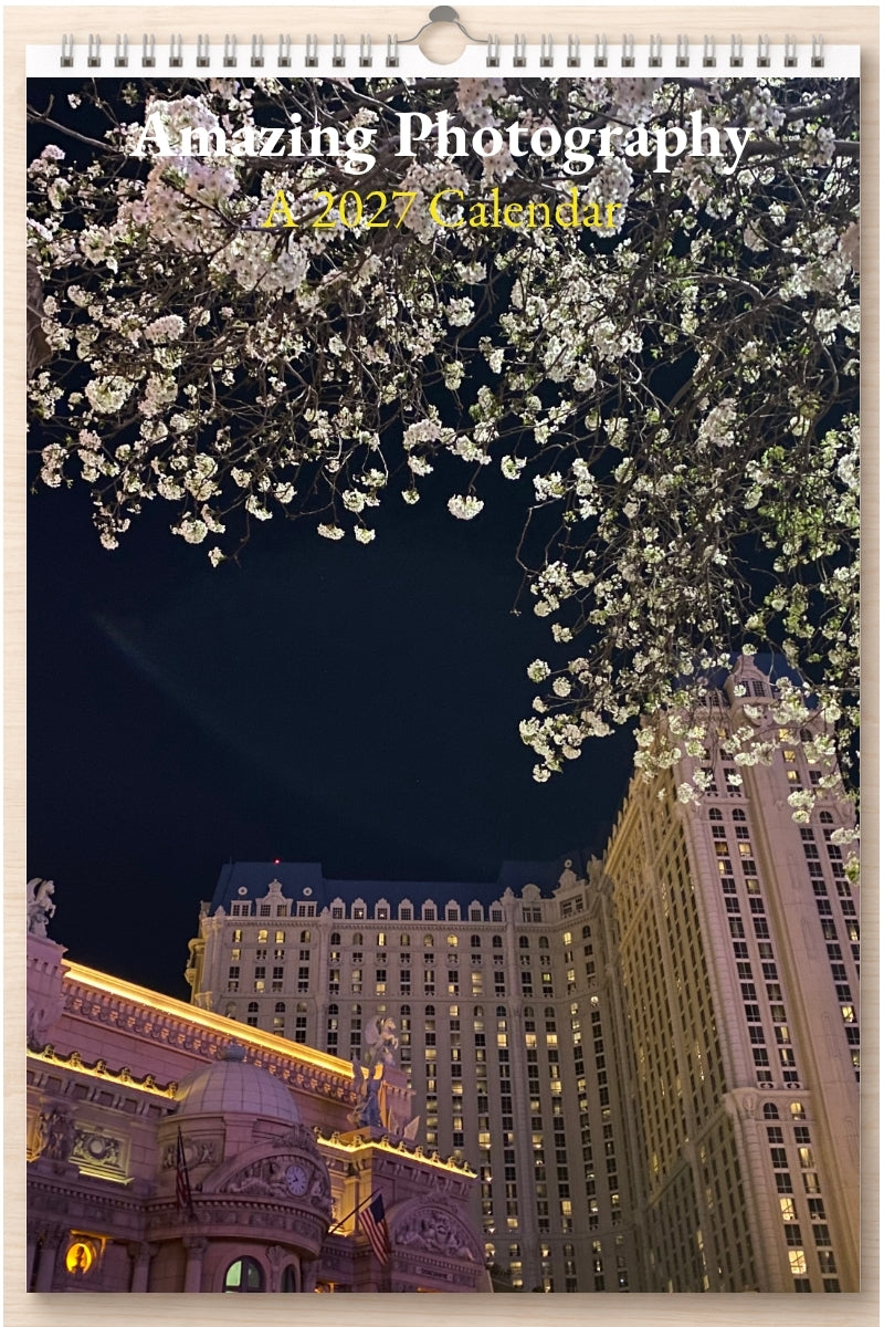 Amazing Photography: A 2027 Calendar