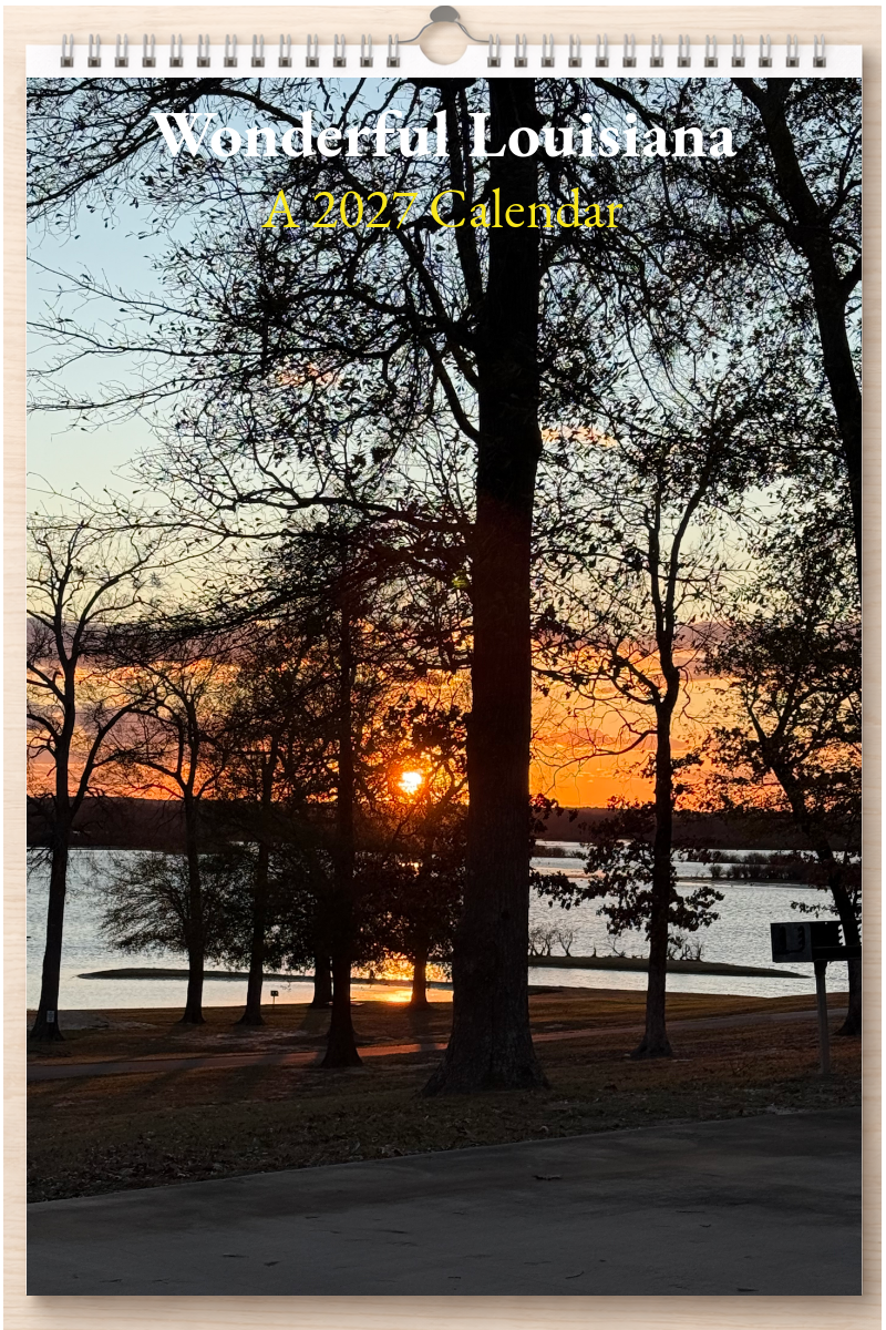 Wonderful Louisiana: A 2027 Calendar