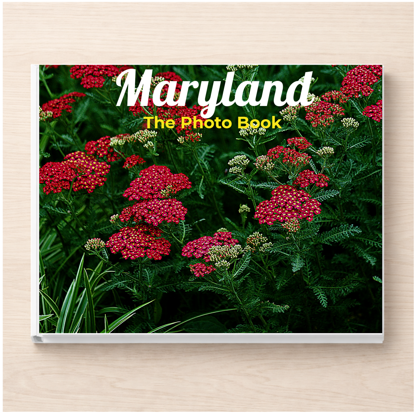 Maryland: The Photo Book