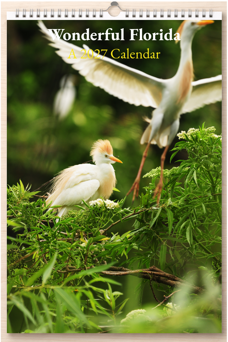 Wonderful Florida: A 2027 Calendar