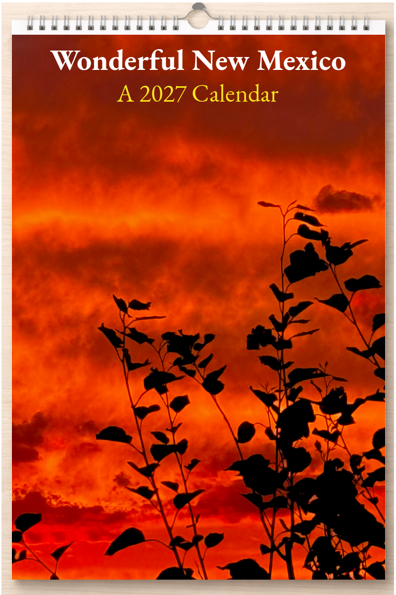 Wonderful New Mexico: A 2027 Calendar