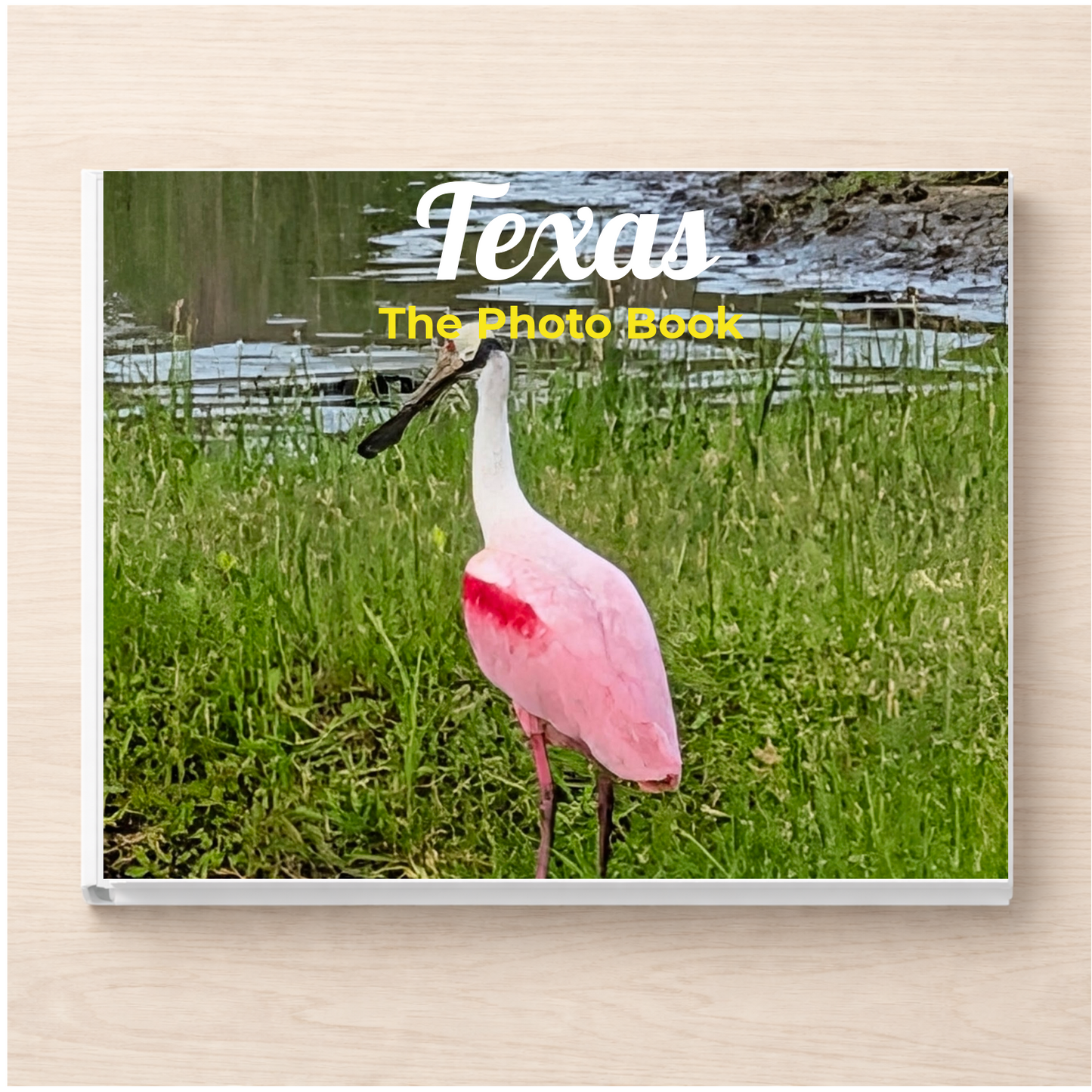 Texas: The Photo Book