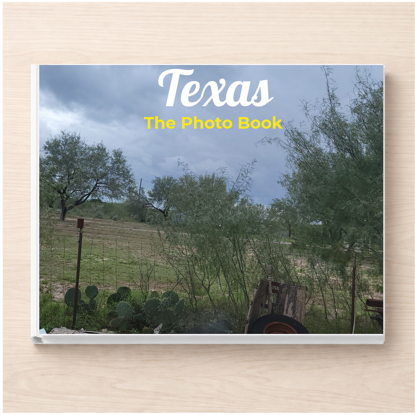 Texas: The Photo Book