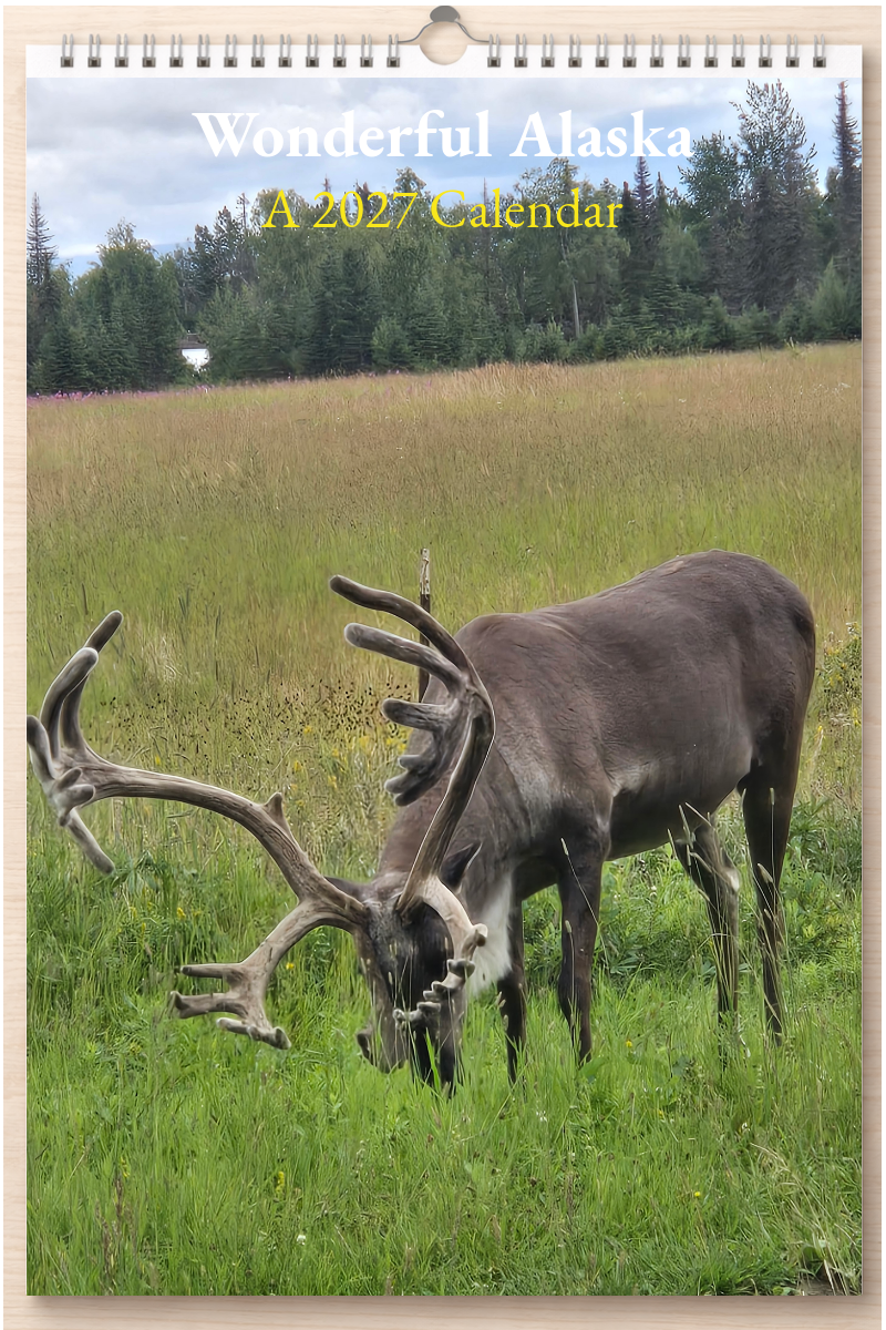 Wonderful Alaska: A 2027 Calendar