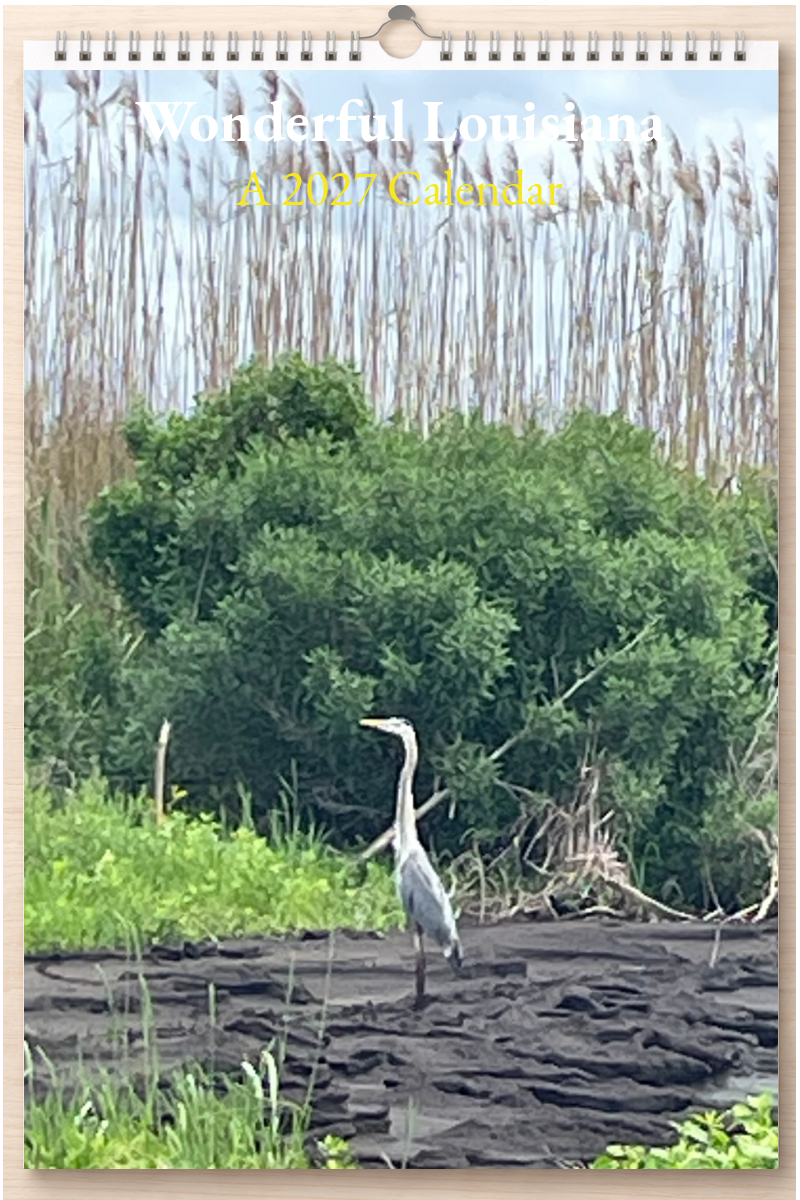 Wonderful Louisiana: A 2027 Calendar