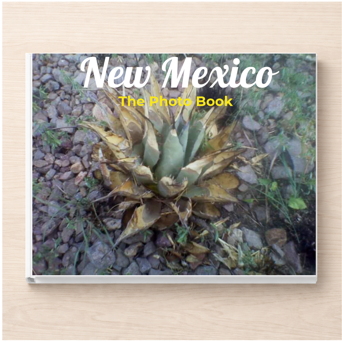 New Mexico: The Photo Book