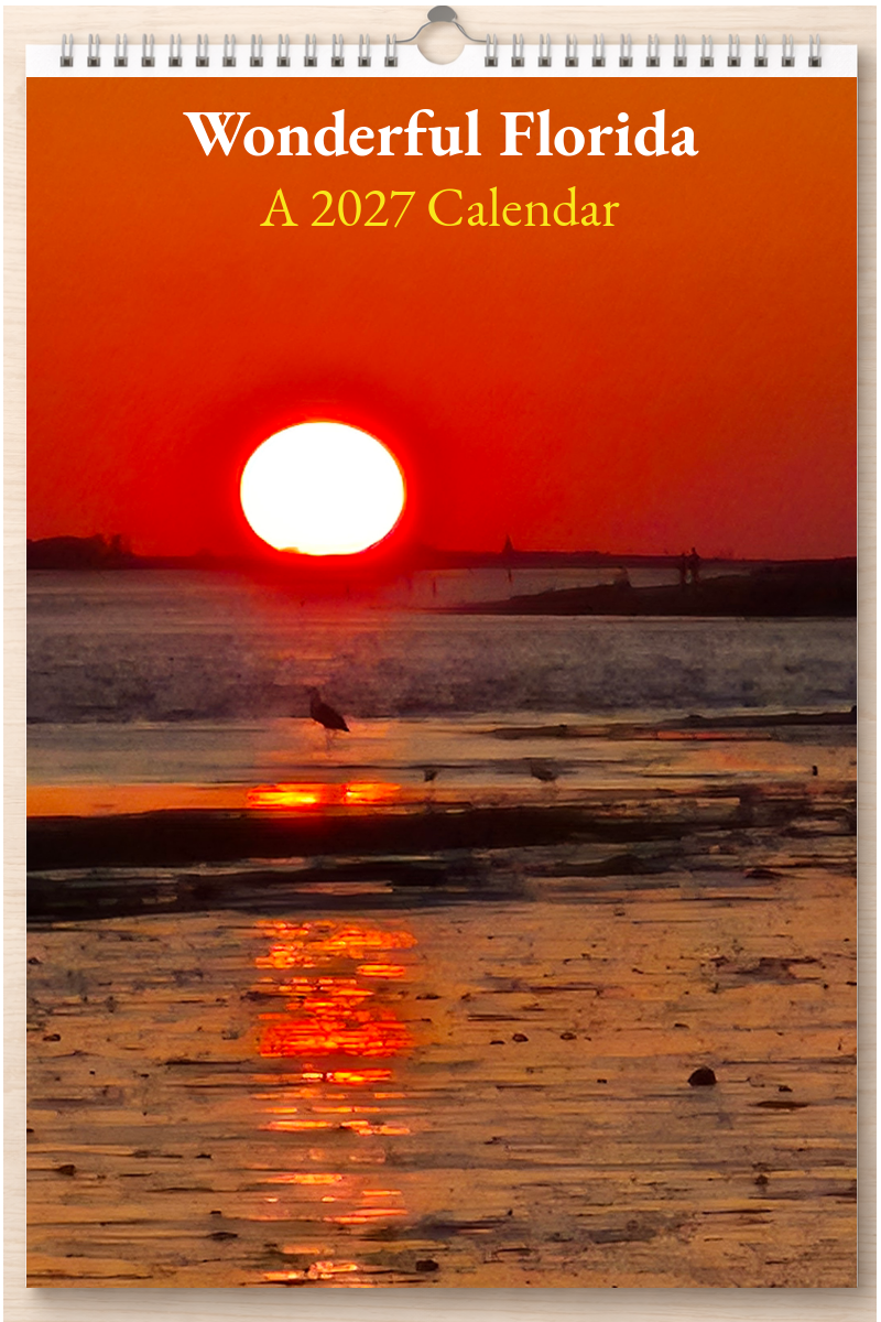 Wonderful Florida: A 2027 Calendar