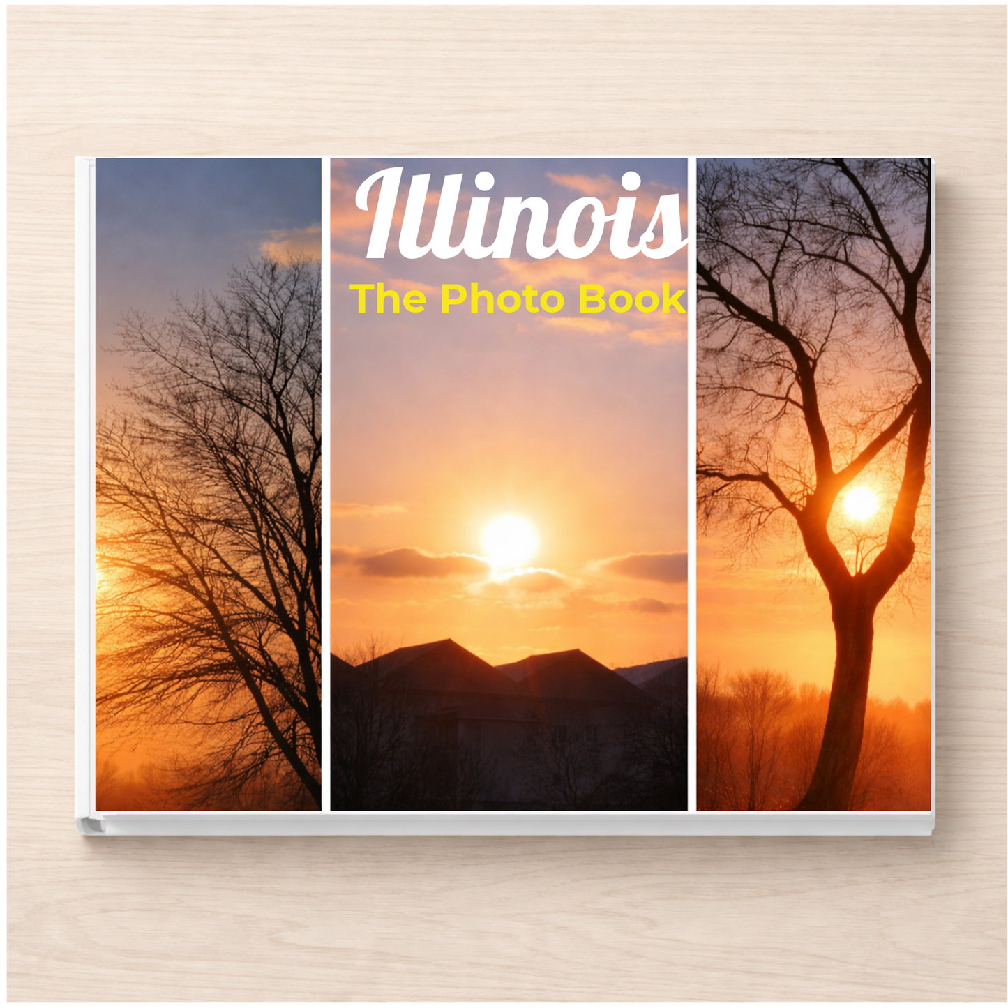 Illinois: The Photo Book
