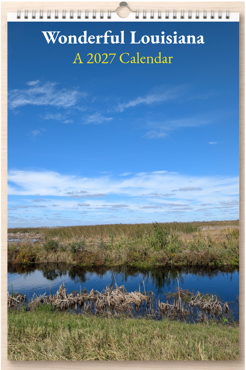 Wonderful Louisiana: A 2027 Calendar