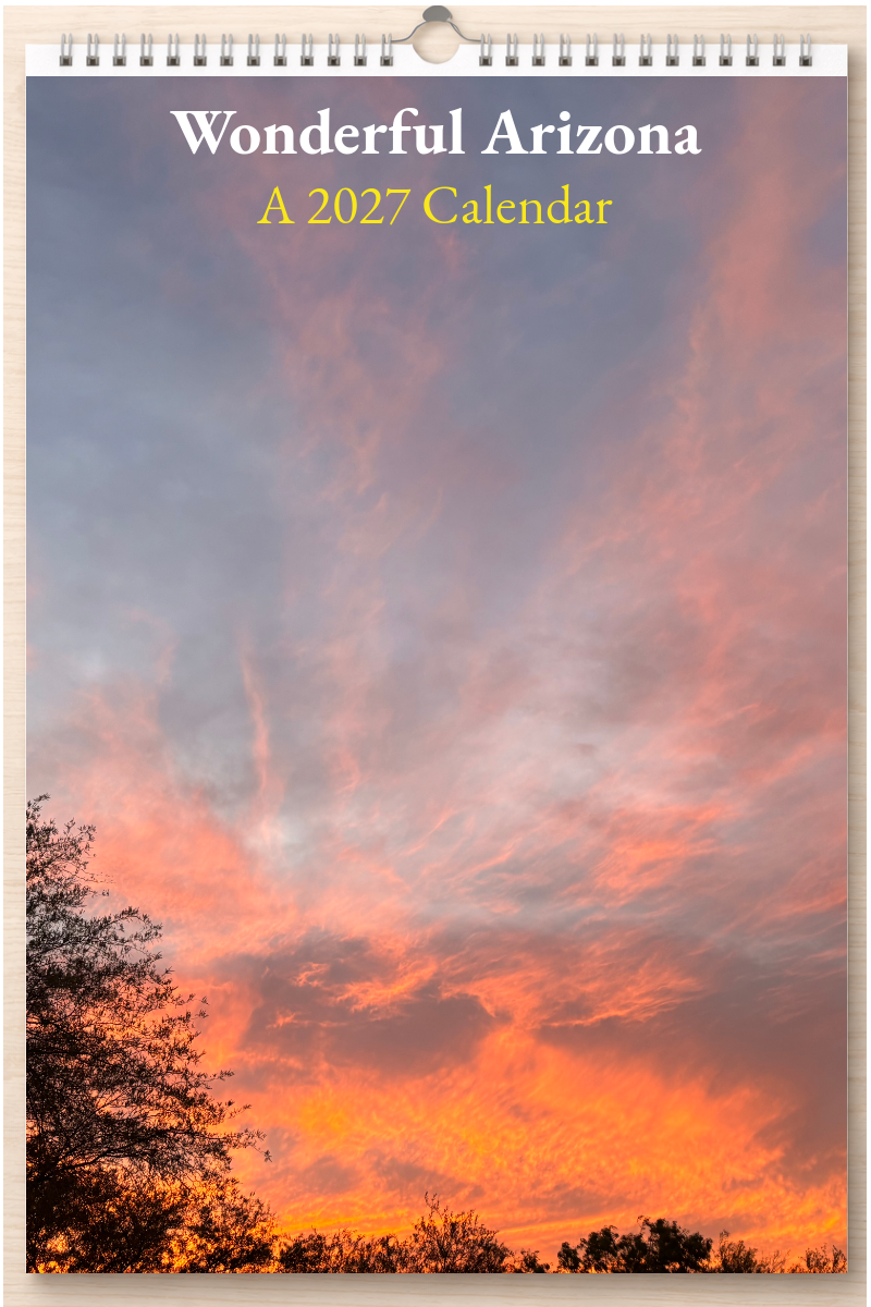 Wonderful Arizona: A 2027 Calendar