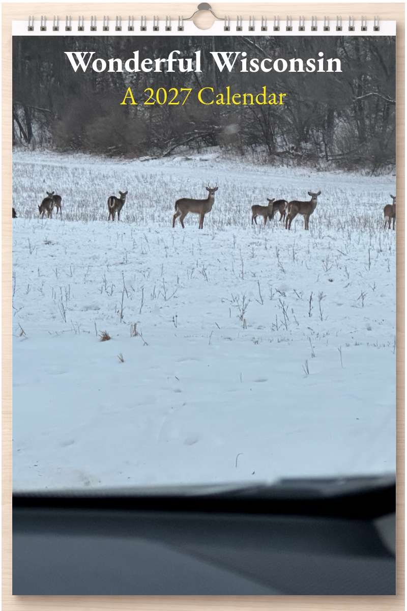 Wonderful Wisconsin: A 2027 Calendar