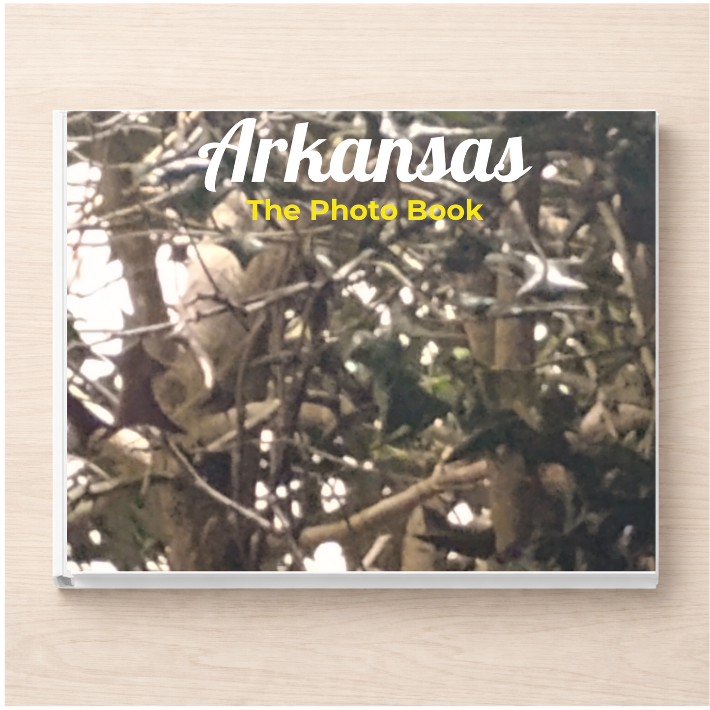 Arkansas: The Photo Book
