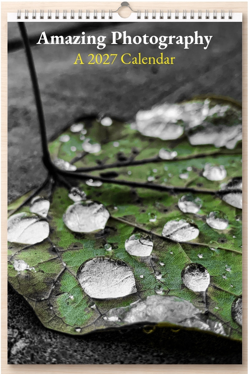 Amazing Photography: A 2027 Calendar