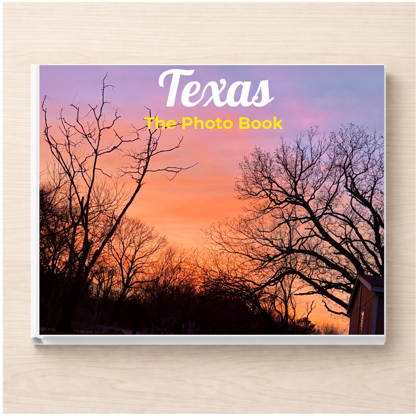 Texas: The Photo Book