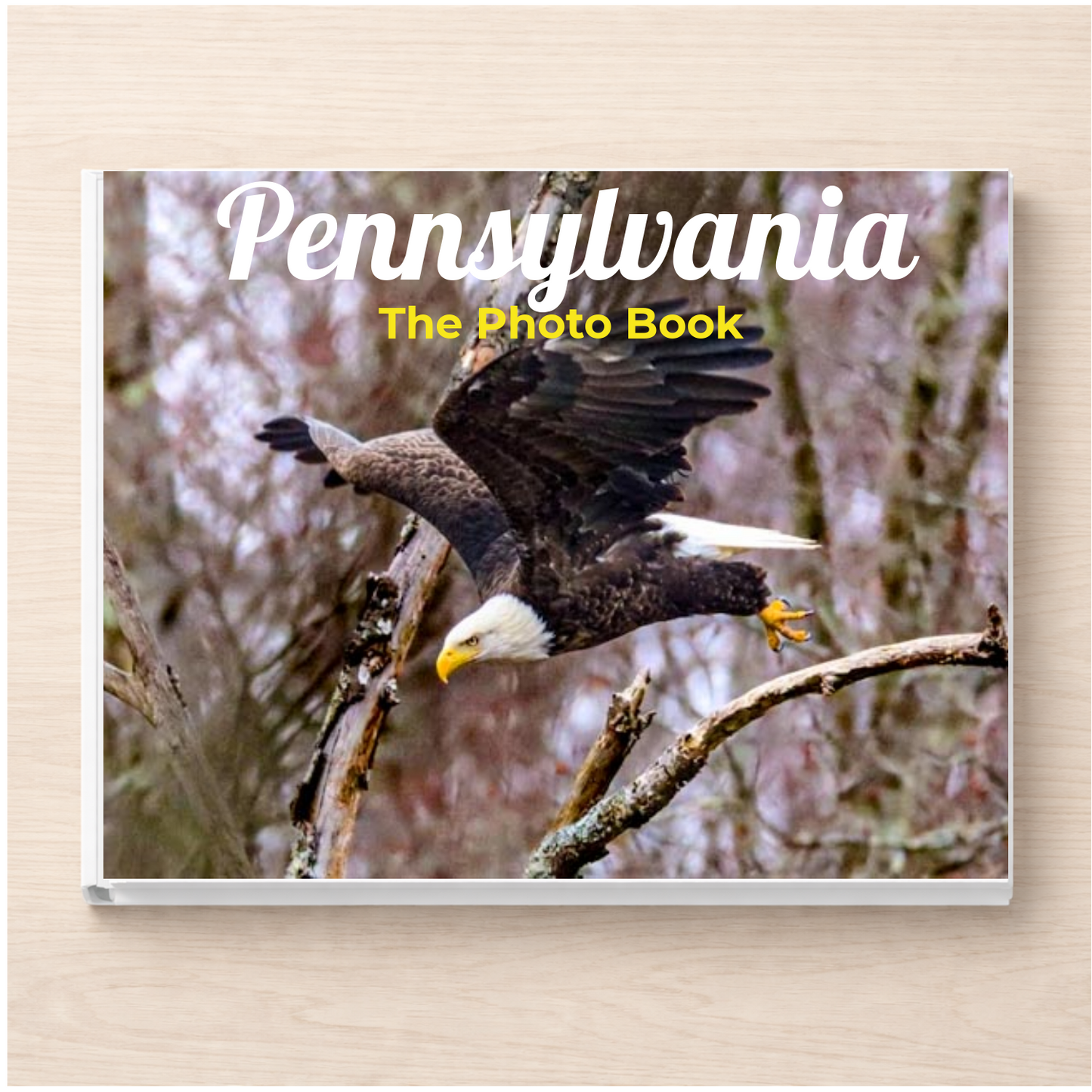 Pennsylvania: The Photo Book