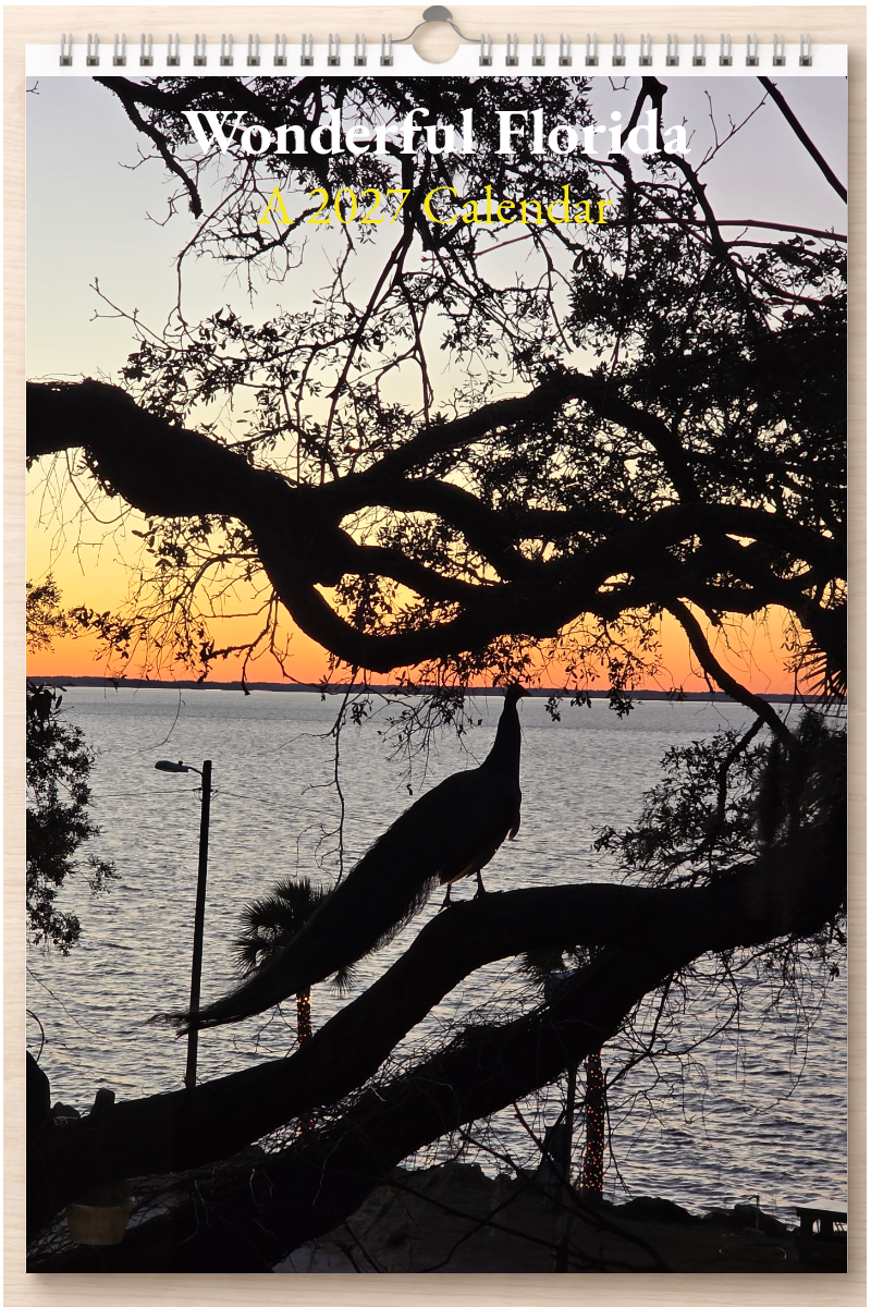 Wonderful Florida: A 2027 Calendar