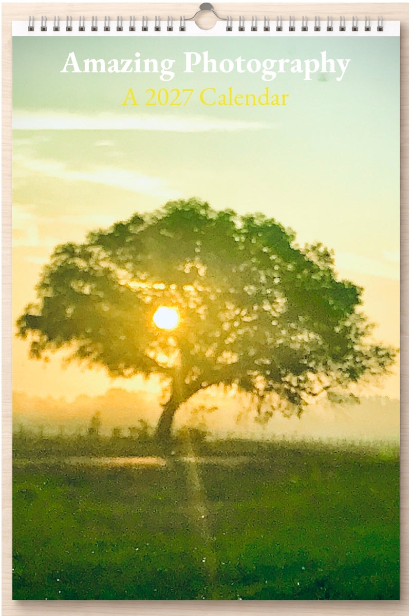 Amazing Photography: A 2027 Calendar