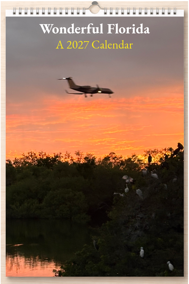 Wonderful Florida: A 2027 Calendar