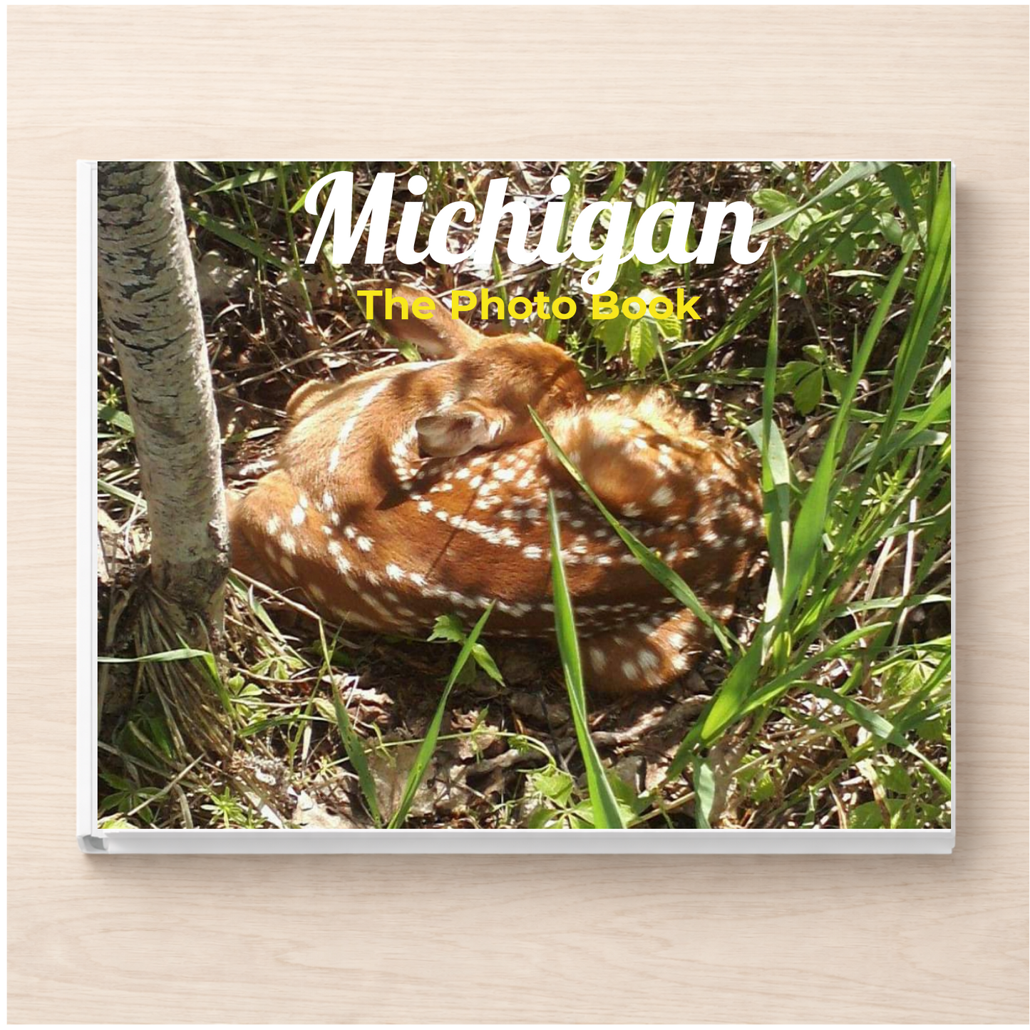 Michigan: The Photo Book