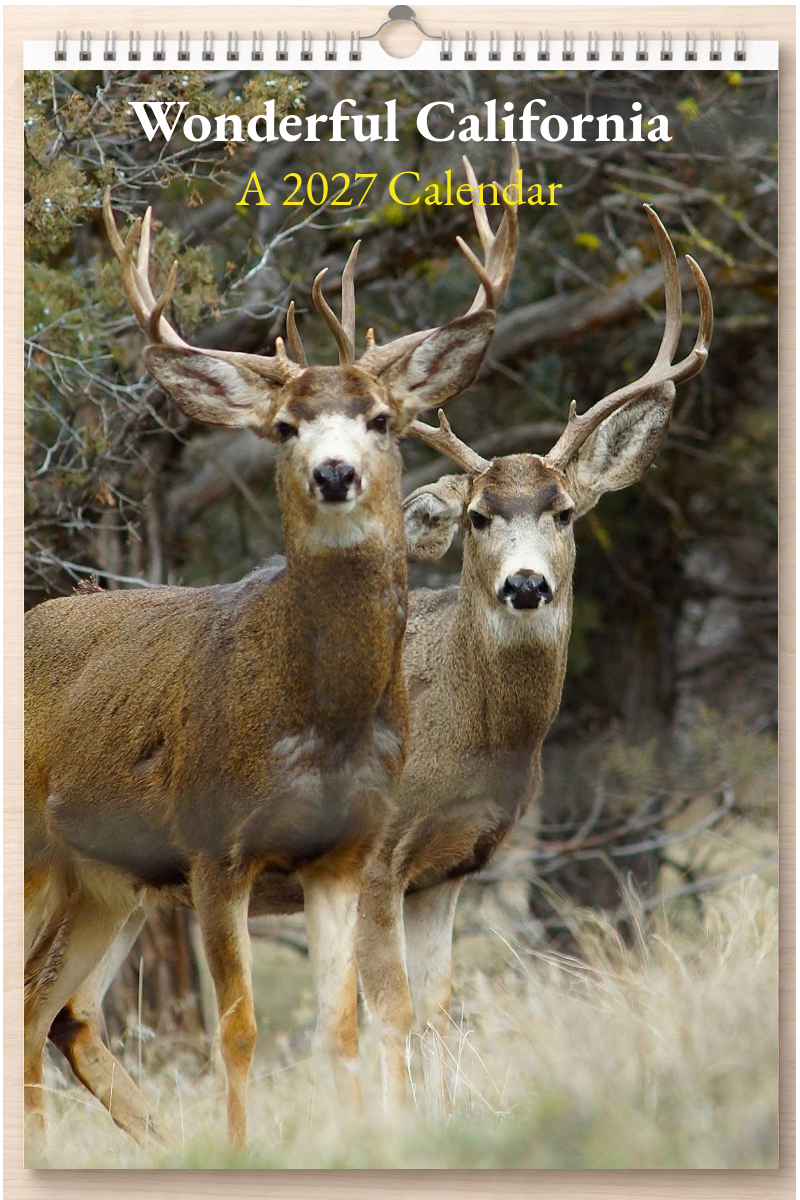 Wonderful California: A 2027 Calendar