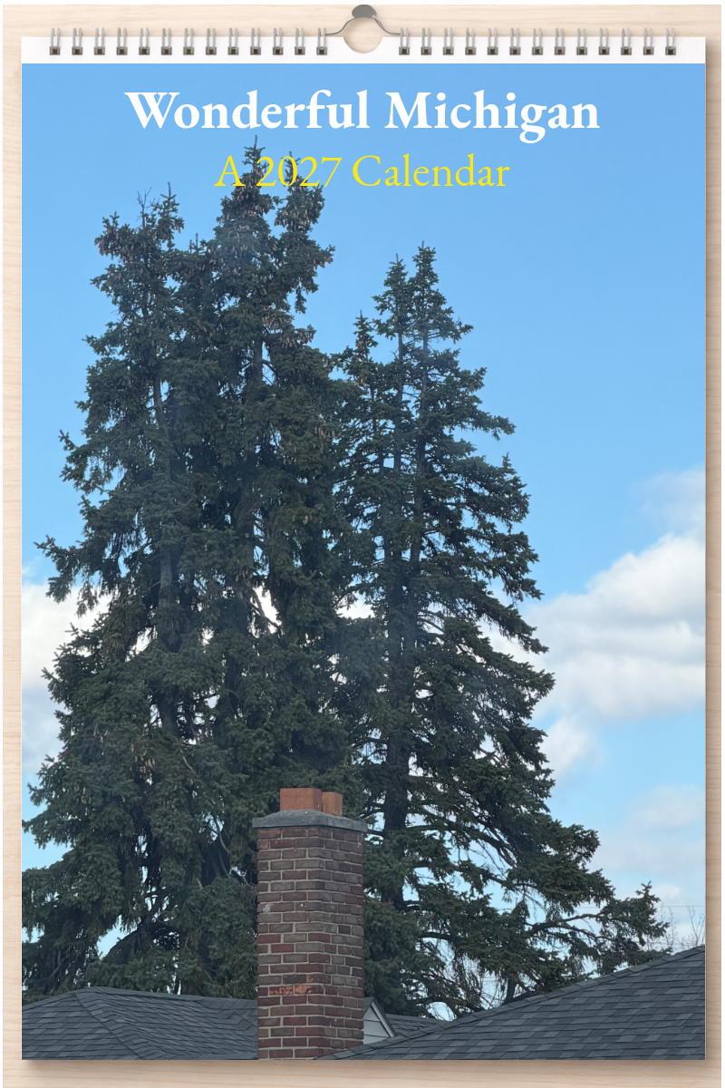 Wonderful Michigan: A 2027 Calendar