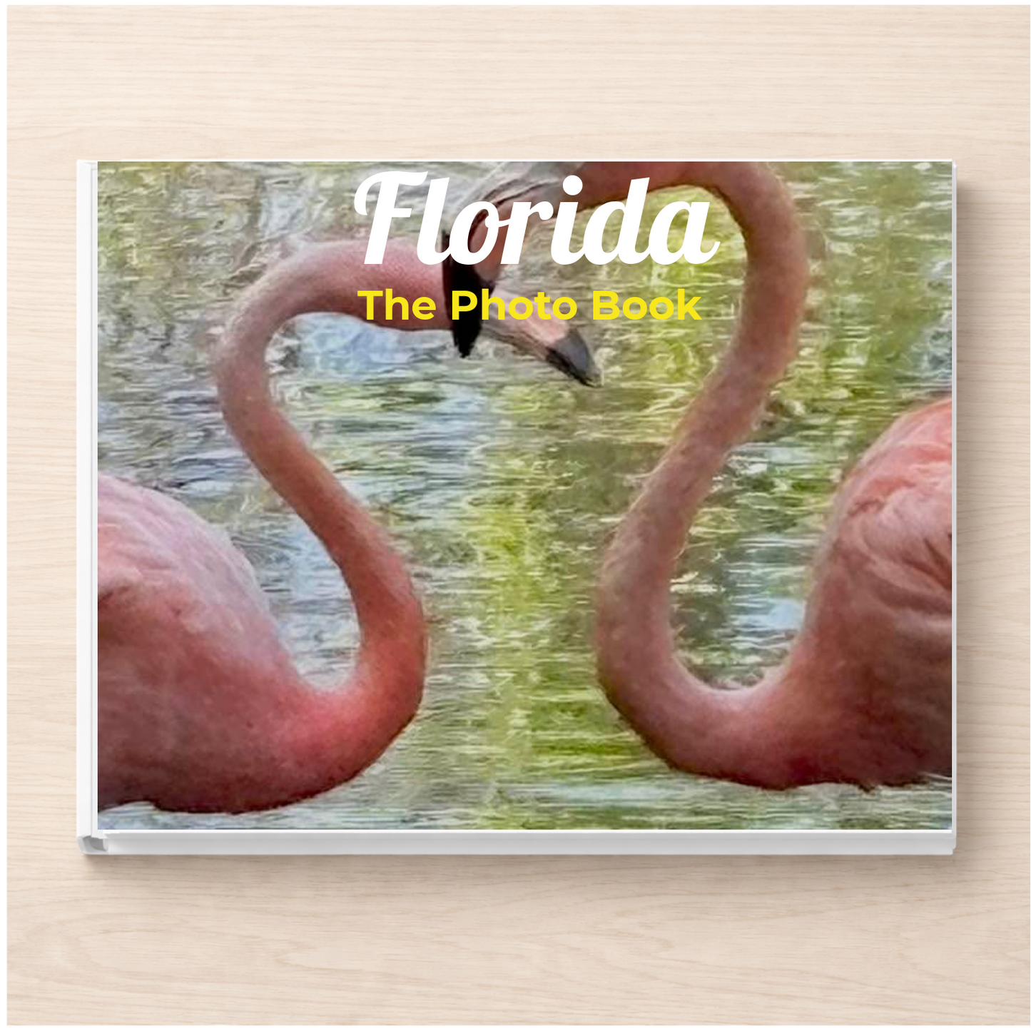 Florida: The Photo Book