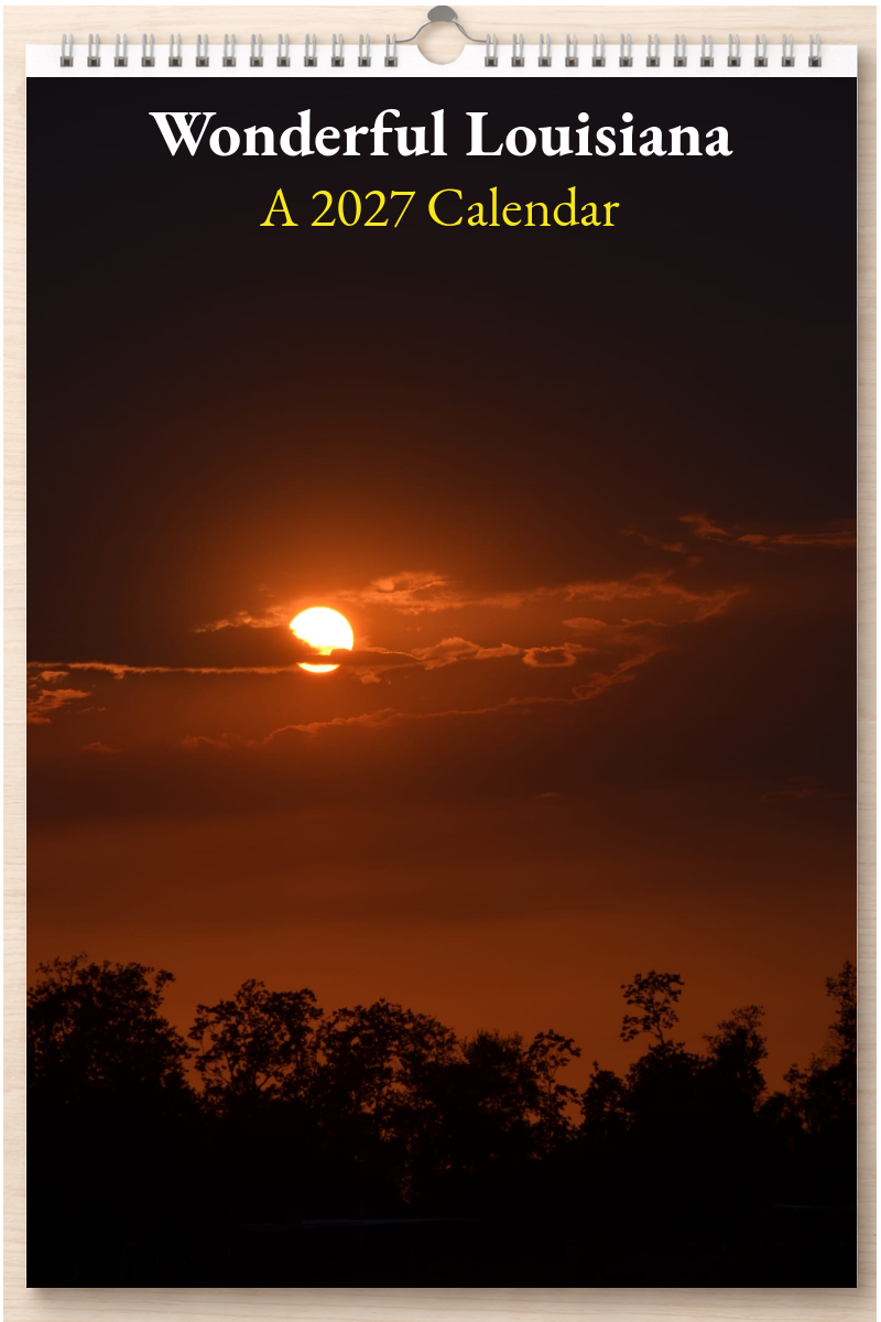 Wonderful Louisiana: A 2027 Calendar