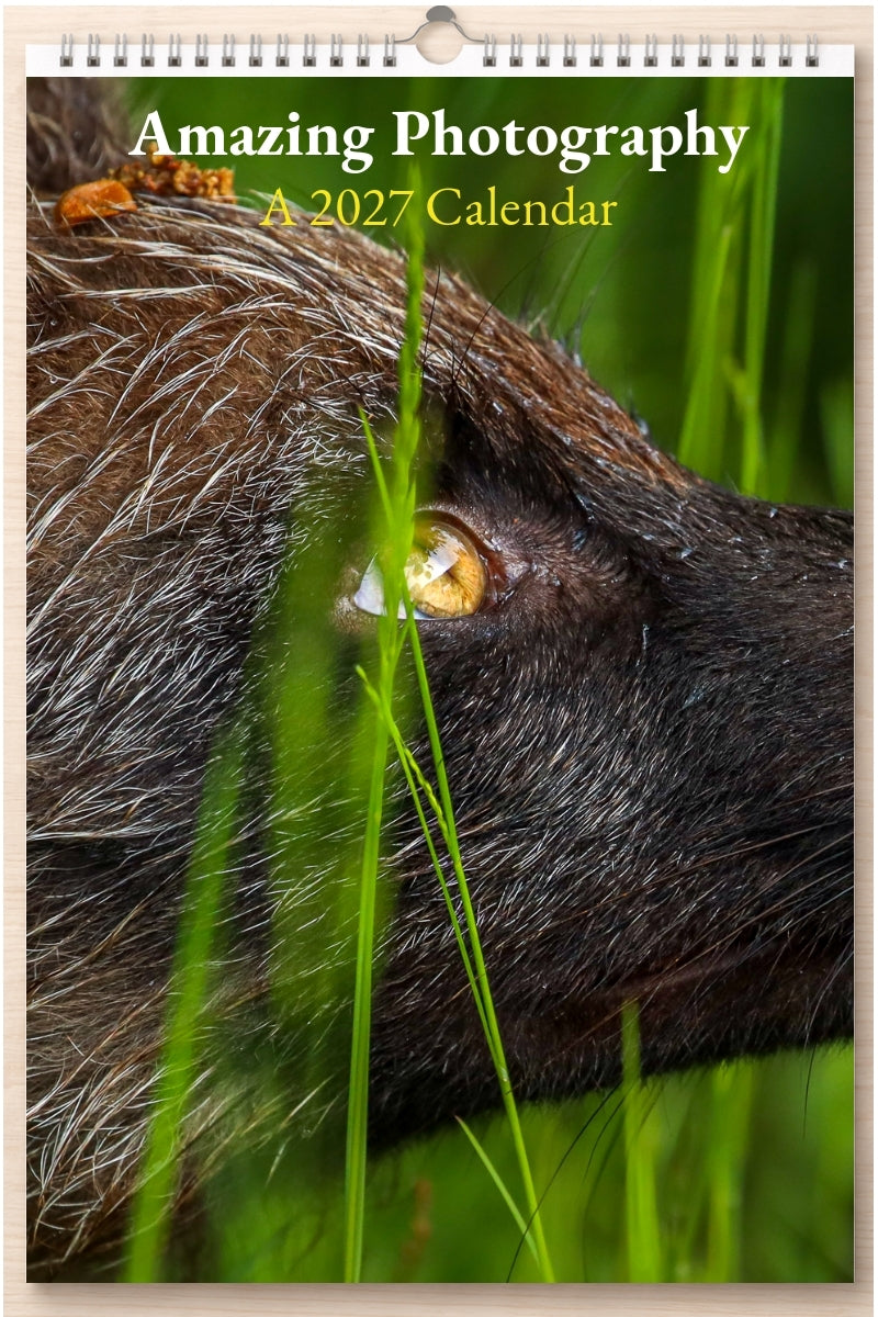 Amazing Photography: A 2027 Calendar